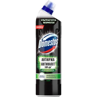 Средство для мытья унитаза Domestos Грин Антиржавчина/Антиналет 0.75 л 31591 фото