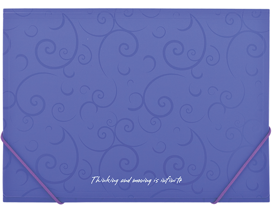 Папка на резинках, BAROCCO, А4, матовый непрозр.пластик, фиолетовая BM.3914-07 фото