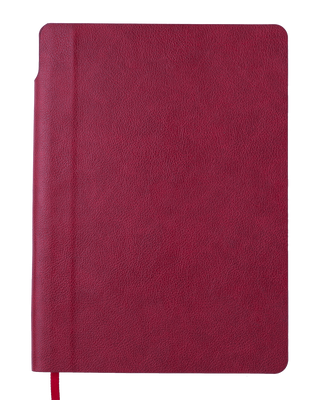 Блокнот діловий FRESH, А5, 96 арк., крапка, т.-червний, шт.шкіра BM.295311-13 фото