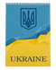 Блокнот на пружині зверху UKRAINE, А-5, 48 арк., клітинка, картонна обкладинка, жовто-блакитний BM.24545104-14 фото